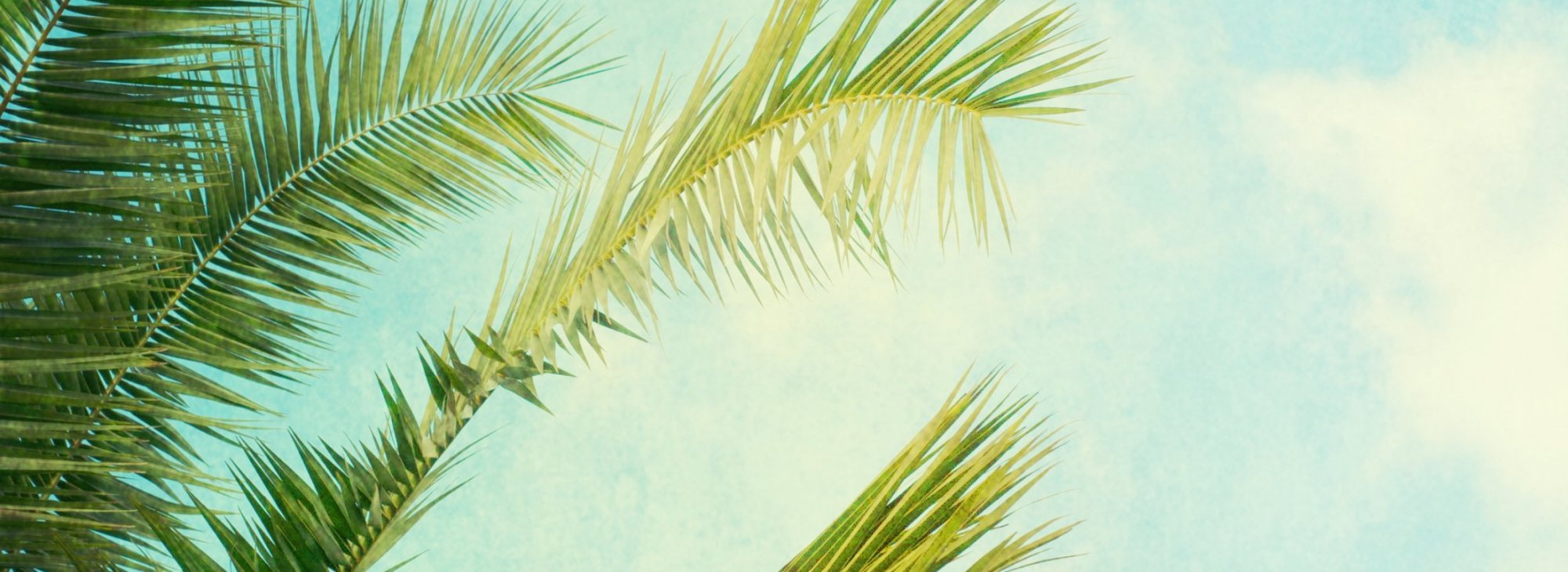 Dentist Greenbrae CA, Cosmetic Dentistry